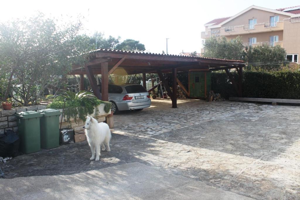 Summer House In 诺瓦利娅 外观 照片